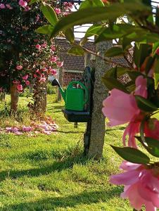 a green bird feeder is attached to a tree at La maison d'Abelleira in Puenteareas