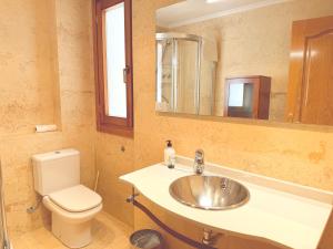 a bathroom with a sink and a toilet and a mirror at Av Valladolid 45 in Soria