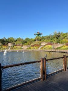 a view of a pond with birds in the water at Vidanta World in Jarretadera +8 photos