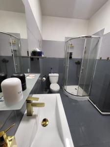 a bathroom with a sink and a shower and a toilet at Nefrit Garni & Bar in Česká Kamenice