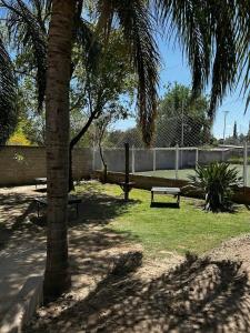 a park with two benches and a palm tree at Complejo Esterlicia in Santa Rosa