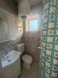 a bathroom with a toilet and a sink at Sasovici farmstay in Magazini +15 photos