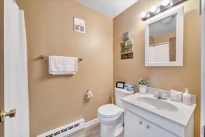 a bathroom with a toilet and a sink and a mirror at Summer Breeze - Lakefront w/ Private Dock! in Moneta +29 photos