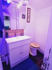 a bathroom with a white sink and a toilet at Studio côté Canal Hossegor in Hossegor