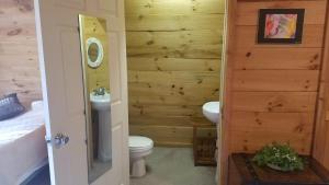 a bathroom with a toilet and a sink at Chalet Cabin 7-Acres Pond! in Andover +10 photos