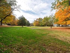 a field of grass with trees in the background at Chalet Cabin 7-Acres Pond! in Andover