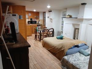 a living room with a bed and a kitchen at l'HYPERCENTRE Loft Atypique et Historique 5 PERS Cathédrale in Clermont-Ferrand