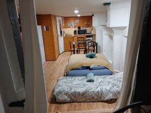 a small room with a bed and a kitchen at l'HYPERCENTRE Loft Atypique et Historique 5 PERS Cathédrale in Clermont-Ferrand +21 photos