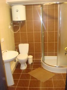 a bathroom with a toilet and a sink and a shower at Отель Гармония in Dnipro