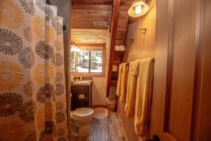 a bathroom with a toilet and a sink at Das Berghaus By Hauserman Rentals in Tahoe City +12 photos