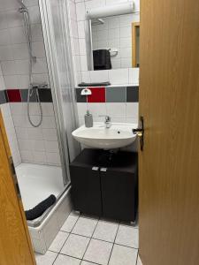 a bathroom with a sink and a shower at Gemütliche Ferienwohnung mit Blick auf die Donau in Obernzell +11 photos