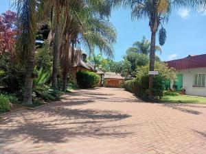 a driveway with palm trees in front of a house at Green Oasis Lodges in Harare