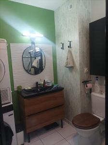 a bathroom with a sink and a toilet and a mirror at chambre double in Poitiers