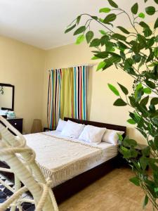 a bedroom with a bed with a rattan swing at Yousrys Nest Cozy Rooftop Studio in New cairo