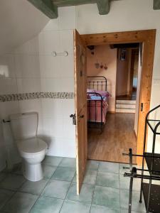 a bathroom with a toilet in a room at Gîte la Chenevière in Étueffont +30 photos