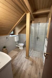 a bathroom with a shower and a toilet in a room at Everwood Lodge, Transylvania in Sub Cetate +8 photos