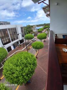 a view from a balcony of a street with trees at Barrio Central in Puerto Ayora