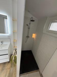 a bathroom with a shower and a sink at Petite rivière in Nantes +14 photos