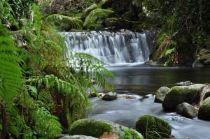 a waterfall in the jungle with rocks and trees at El Apartamento de Hervás in Hervás +5 photos