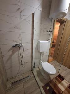 a bathroom with a toilet and a shower stall at Straza in Rožanstvo +9 photos