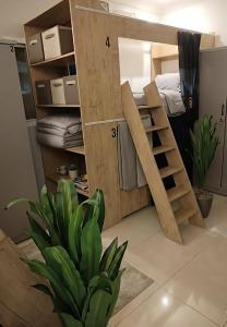 a room with a bunk bed and a plant at Your Home In Riyadh Hostel in Riyadh