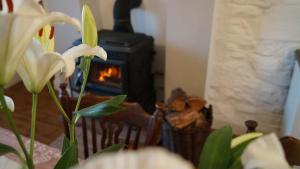 Fotografie z fotogalerie ubytování Mulranny House v destinaci Mulranny