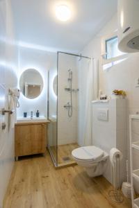 a bathroom with a shower and a toilet and a sink at Surčin Central Stay in Surčin
