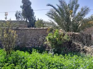 a stone wall with a palm tree behind it at dar elkarzabi in Zagora