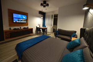 a bedroom with a bed and a couch and a tv at Lili's Studio 2 in Piteşti +21 photos