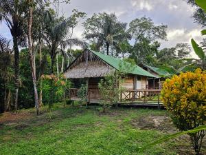 a house with a green roof in a forest at Paroá Amazon Lodge in Manacapuru +43 photos