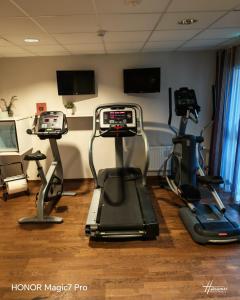 ein Fitnessstudio mit zwei Ergometern und zwei Laufbändern in der Unterkunft Tellus Apartment in Lund
