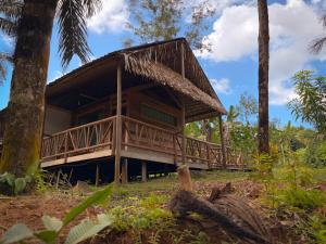 a house in the woods with a wrap around deck at Paroá Amazon Lodge in Manacapuru