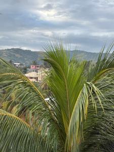 a view of a palm tree with mountains in the background at VIP Hotel Haiti in Port-de-Paix