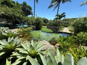 a pond in a garden with palm trees and plants at Camboflat in Niterói