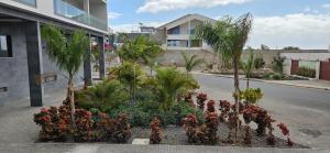 a garden with flowers and palm trees on a street at Apart JC Edificio Victor in Praia