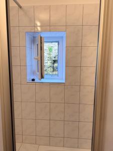 a shower with a window in a bathroom at Altstadtnest - gemütliche Wohnung nahe der Burg in Donnerberg +20 photos