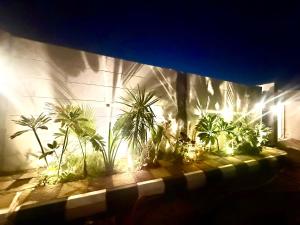 Jardí fora de شاليهات الغيم