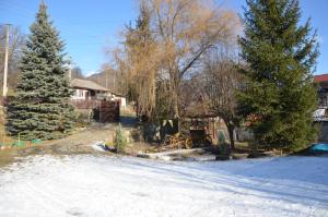 a yard with snow and trees and a house at Pensiunea Bucurie in Căpăţîneni-Ungureni