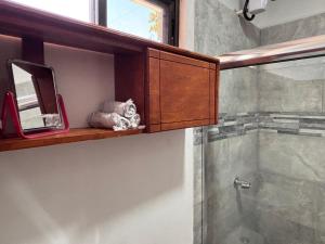 a bathroom with a shower and a mirror on a shelf at Orquídea de la Paz in Coco +6 photos