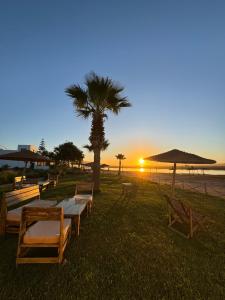 a beach with tables and umbrellas and a palm tree at Kali Camp in Oualidia