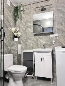a bathroom with a toilet and a sink and a mirror at Sunset Studio in Kwidzyn