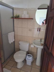 a bathroom with a toilet and a sink and a mirror at Fortuna garden hotel in Fortuna
