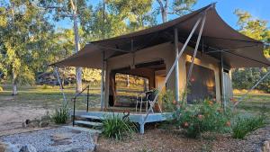 a tent with a bench in a field at Wallaroo Outback Retreat - Glamping Tents Carnarvon Gorge in Hutton +25 photos