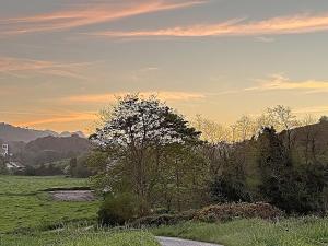 a road in a field with a sunset in the background at apartamentos lleguera 1 in Llanes