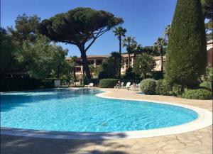 a large blue swimming pool with a tree in the background at LA BADINE Appartement 5 personnes avec balnéo et clim in Hyères