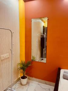 a bathroom with a mirror and a potted plant at House Of Green Flag VIP ROAD Baguiati Kolkata in kolkata