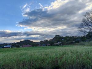 a field of green grass with a cloudy sky at Vista Natural del Cerro in Grecia +11 photos