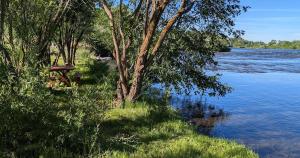 a picnic table sitting next to a body of water at Henrys Fork Suites Suite One in Saint Anthony