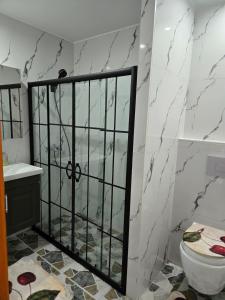 a bathroom with a shower and a toilet and a sink at Cozy renovated studio Comfort practicality in Bourgoin