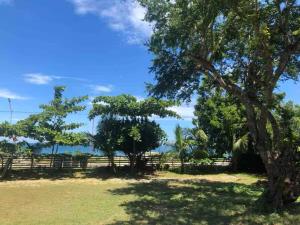 a tree in a field with a fence at Caba La Union Gulfside Cottage C2 in Caba